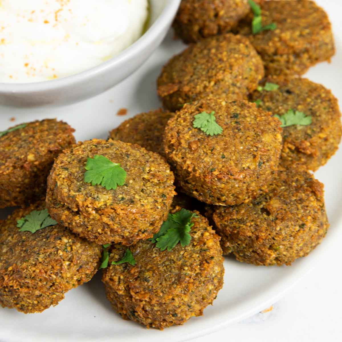 A closer shot of Lebanese falafel, highlighting the its crunchy edges.