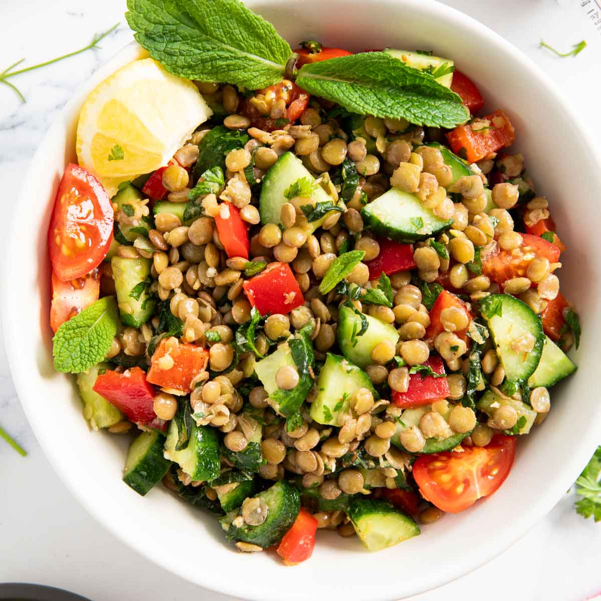 A bowl of green lentil salad, a classic salad from Lebanon, garnished with mint.